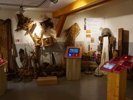 Devenez fromager - Atelier de fabrication de fromage