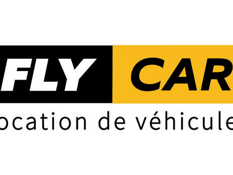 Fly Car