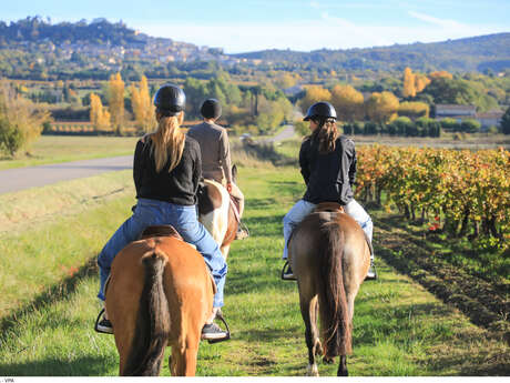 La balade Provençale par Cheval et Provence