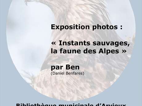 Exposition photos : Instants sauvages, la faune des Alpes