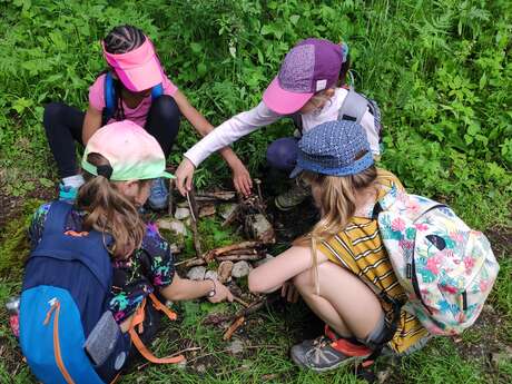Randonnée famille "Le monde merveilleux des insectes"