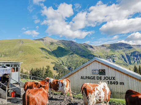 Alpage de Joux
