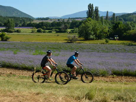 MTB Nr. 4 - Tour du Pays de Sault - GPS