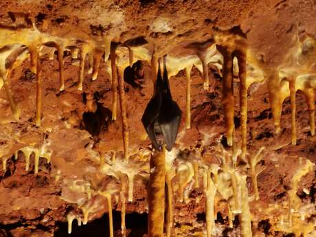 Grotte du Bosc