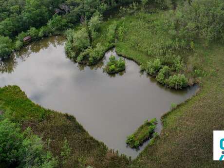 Balade Découverte " Nos amies, les zones humides "