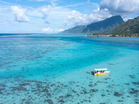 Moorea Tiki Tour