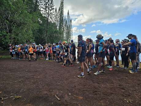 Challenge Organisation