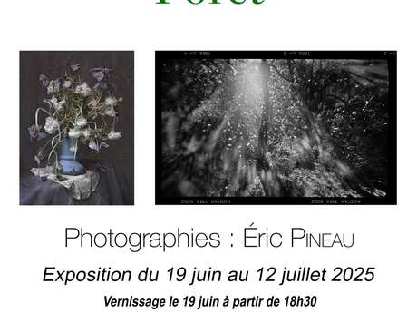 Exposition photographique "Vanités & Forêt"