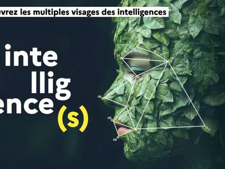 Fête de la science : visite commentée de l'exposition de la grotte de Bruniquel