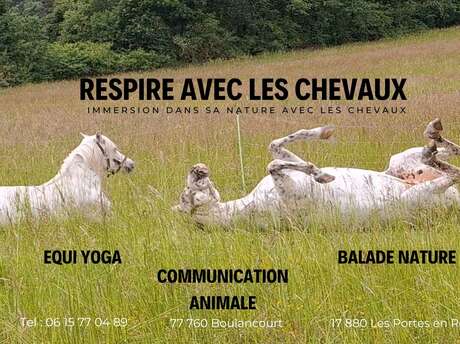 Respire avec les chevaux - Equi yoga et communication médiée par le cheval