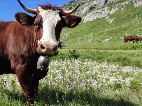 La Ferme des Tines