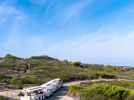 Petit train de l'île des Embiez