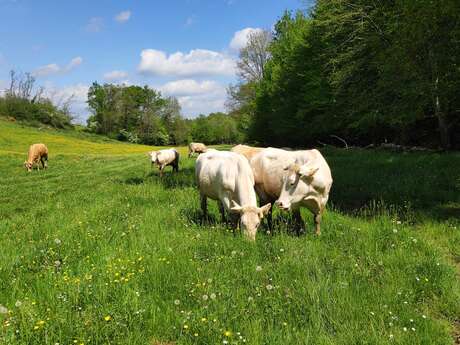 Farm "Borde Blanche"