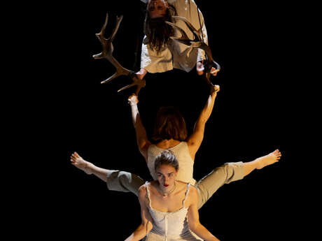 Spectacle Faune - Cie Libertivore