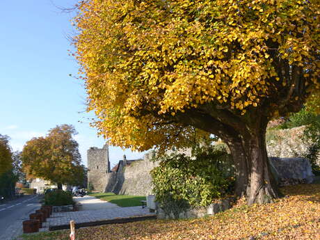 Les remparts