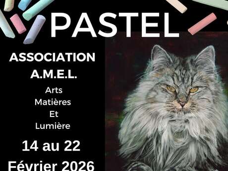 Exposition Salon du Pastel