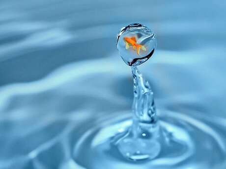 Lectures pour les tous petits autour de l’eau