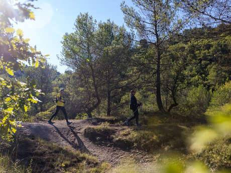 Découverte de la la marche nordique – La Coueste, Aubagne
