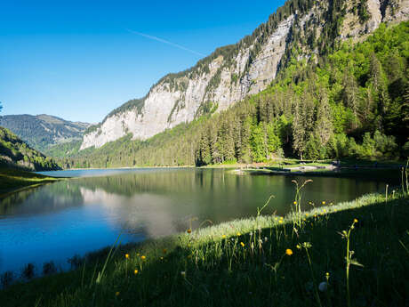 Vallée d'Aulps Tourisme - Bureau administratif