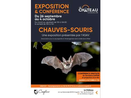 Conferenza sui pipistrelli