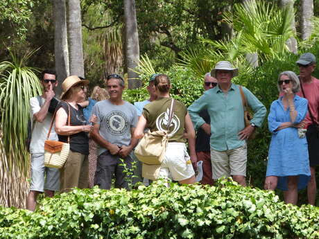 Visite guidée du Jardin des Méditerranées
