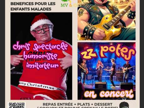 Concert - Les cochons du Rock
