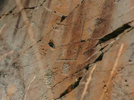 Guided hikes - Bureau des Guides