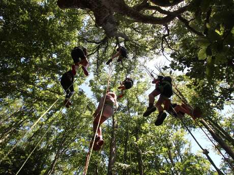 Printemps 2026 - Bougez dans le Pilat - Grimpe d'arbres (à partir de 10 ans) - Collet de Doizieux