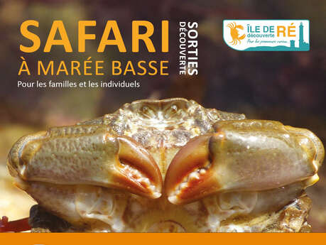 Sortie nature - Safari à marée basse