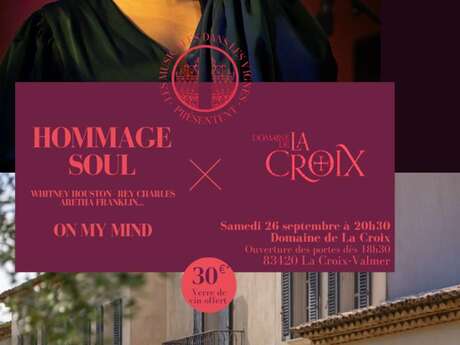 Les musicales dans les vignes de Provence : Hommage an den Soul