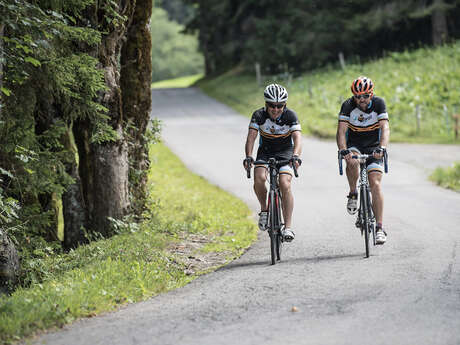Racefietsen met Buzz Performance