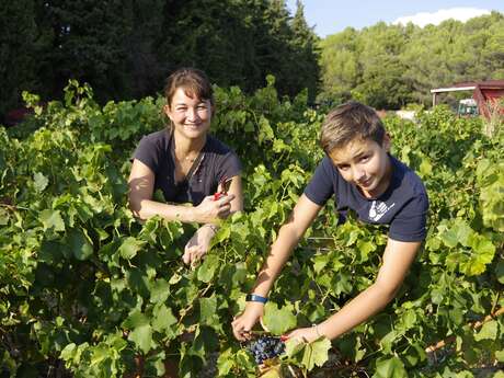 Visite de la cave - Domaine du Gros Pata