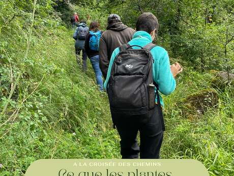 Balade immersive "Ce que les plantes nous racontent"