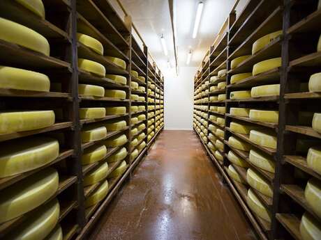 Découverte de la Fruitière à Comté de la Vallée de l'Ain