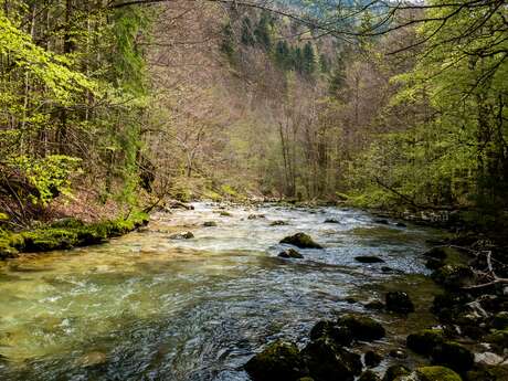 Nature animation: the river and floods