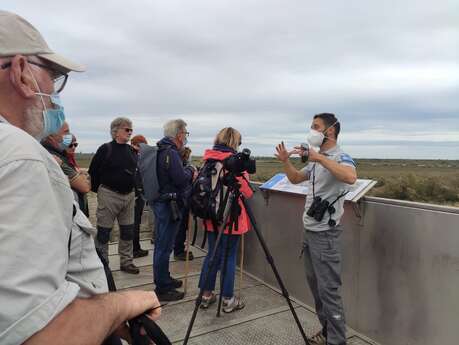 Tourvieille and towers of Camargue