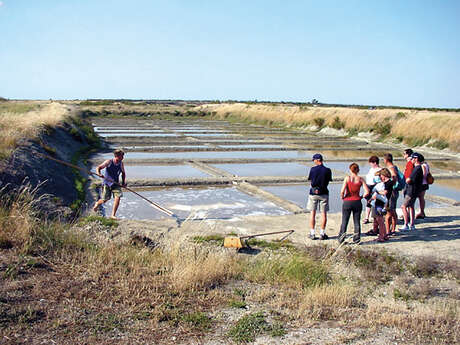 Afternoon in the marsh by the Écomusée du Marais Salant