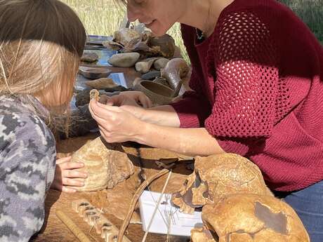 Fête de la Science avec le Musée de Préhistoire des gorges du Verdon Fête de la Science avec le Musée de Préhistoire des gorges du Verdon