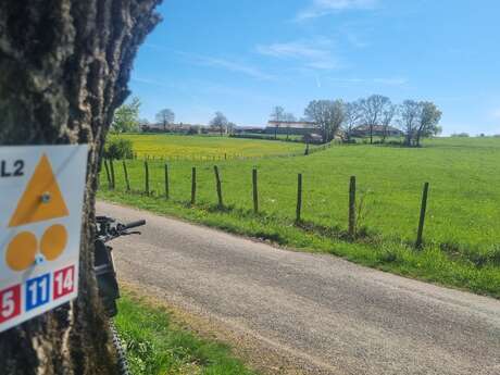 MTB track n°5 (red) - From the Bresse lakes to the Pontremble pond