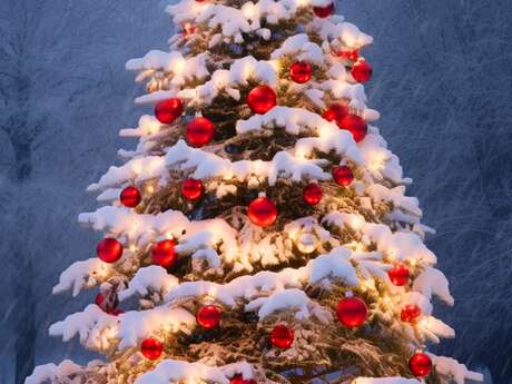 Illumination du sapin et animation