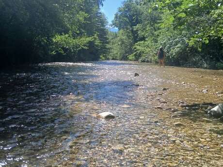 Between Roots and Currents: Recharge by the Water's Edge