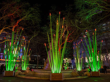 Exposition lumineuse - Herbum Follus & Pampa