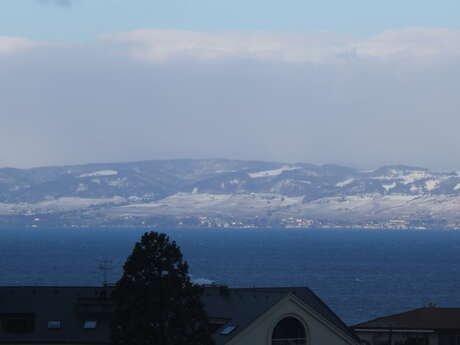 Le panoramic