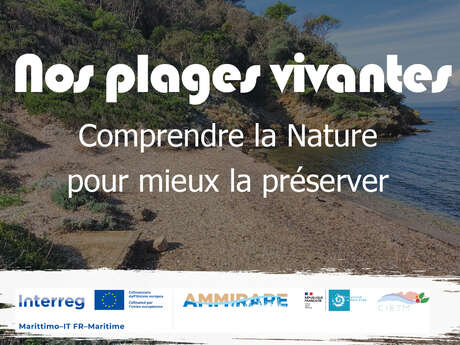 Port-Cros: passeggiata naturalistica alla scoperta delle nostre spiagge piene di vita