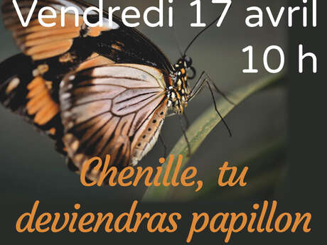 Atelier « Chenille, tu deviendras papillon »
