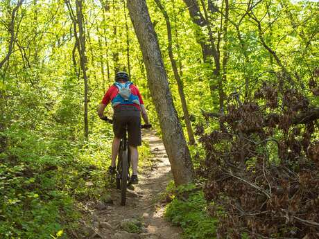 N°112 - Le belvédère du Forez - Espace VTT Montbrison-Monts du Forez