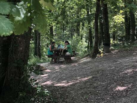 Aire de pique-nique dans la forêt