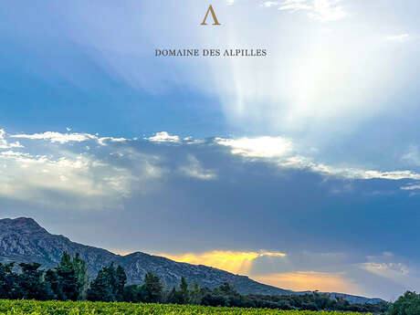 Domaine des Alpilles