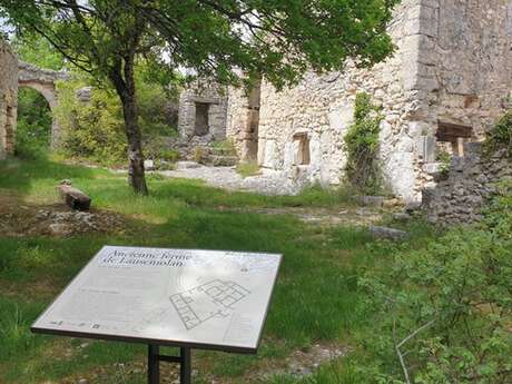 Les Rendez-vous du Parc - Balade entre Lausemolan et le Mur de la peste - Monieux