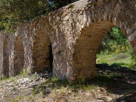 Alle 25 Brücken mit Reiseleiter Eric Gorlet